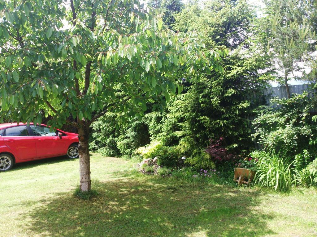 Sunnystreet Guesthouse Stará Lesná Buitenkant foto
