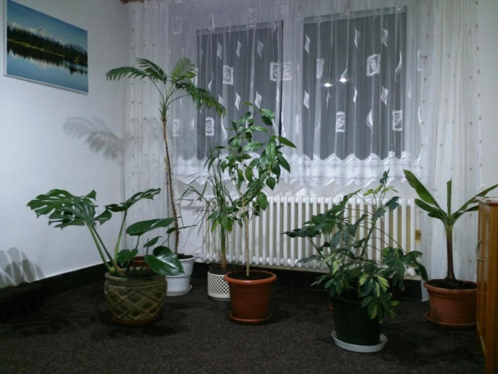 Sunnystreet Guesthouse Stará Lesná Buitenkant foto